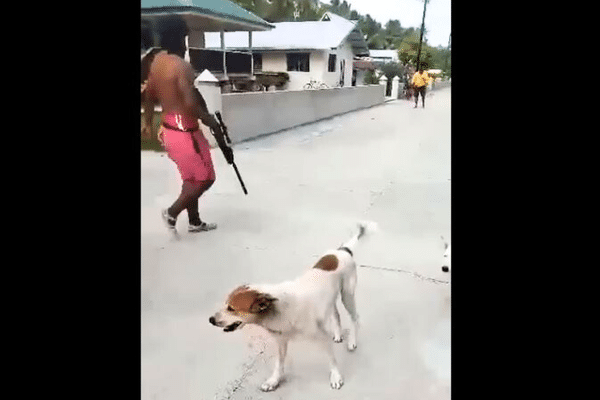 Un homme armé d'un fusil à plomb menace les habitants (extrait vidéo).