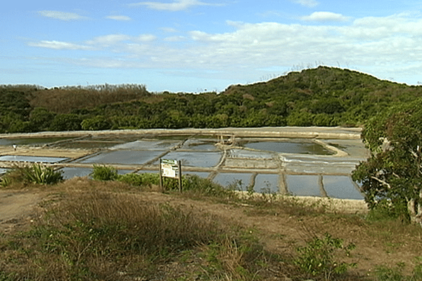 sel du nord calédonien