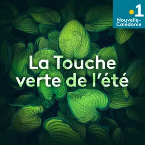 La Touche verte de l'été