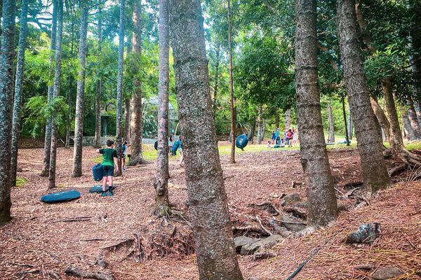 Des enfants s'apprêtent à passer la nuit au Parc forestier de Nouméa.