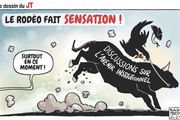 Le dessin de Nicolas Yann Martin pour le journal télévisé du 8 décembre.