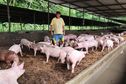 Brice Coppenrath, un passionné d'élevage et d'agriculture