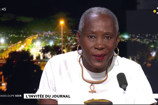 Jacqueline Jacqueray-Desfontaines, Présidente du CIPN, invitée de Guadeloupe Soir