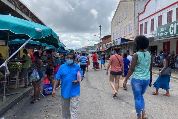 Cayenne retrouve ses promeneurs