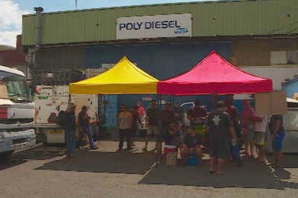 Poly Diesel 