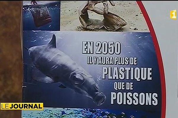 Le plastique à usage unique : bientôt la fin ?