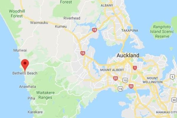 Les paquets ont été découverts sur une plage proche d'Auckland