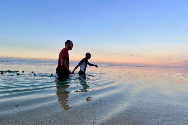 Ouverture de la pêche aux capucins à La Réunion : une tradition réglementée