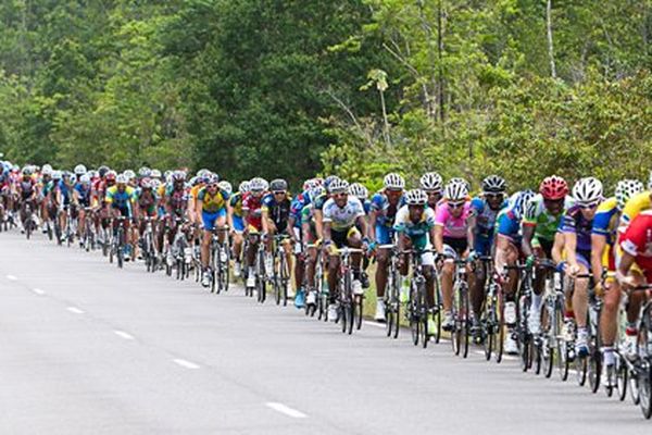 Le peloton en 2011