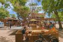 Le restaurant Kabana Beach à Port-Louis en proie aux flammes