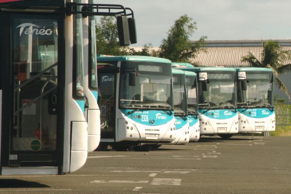 Flotte de bus Tanéo, image d'illustration. 