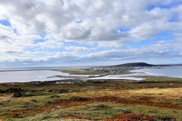 chemin des roses miquelon