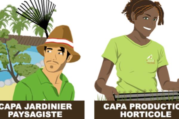 Exemple de formations par apprentissage proposées en Calédonie, du CAP au bachelor.