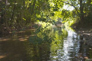 La Qualité Des Eaux Des Rivières De Martinique Est Peu