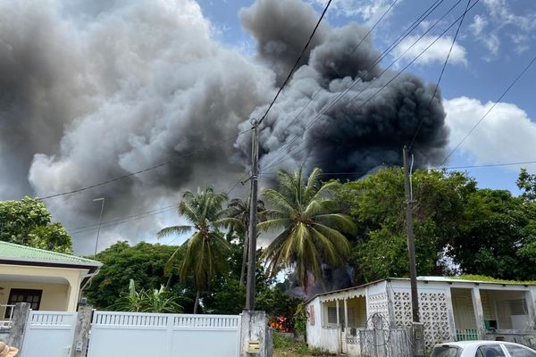 Feu de broussailles Belle-Plaine, Gosier 