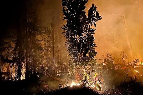 feux de forêts 8 janvier 2025