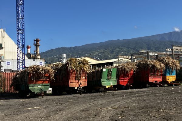 Grève centrale thermique Albioma Usine sucrière du Gol à l'arrêt 17 remorques de cannes en attente de réception