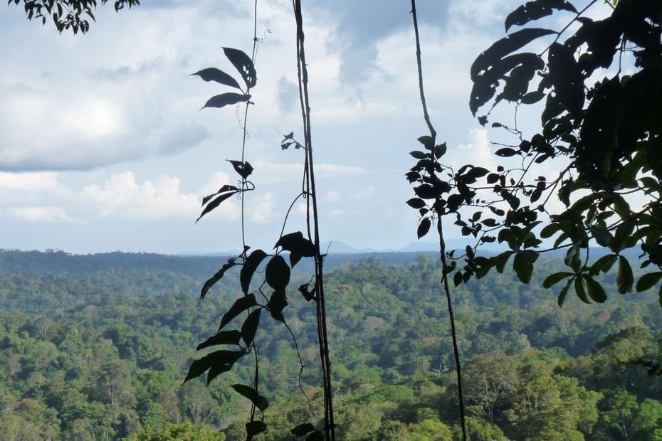 dois brasileiros desaparecidos foram encontrados na Guiana