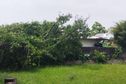 Nouvelle chute d’un arbre sur une maison à Cayenne