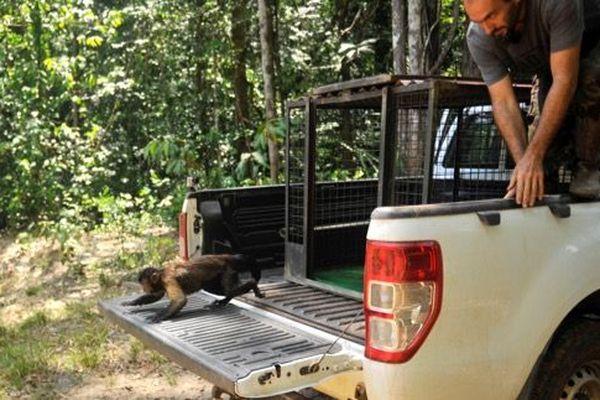 ONCA : un refuge pour animaux sauvages