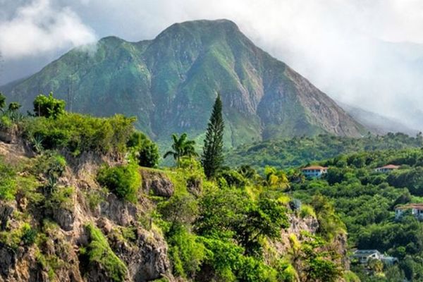 L'île de Monserrat s'engage pour sauver sa biodiversité