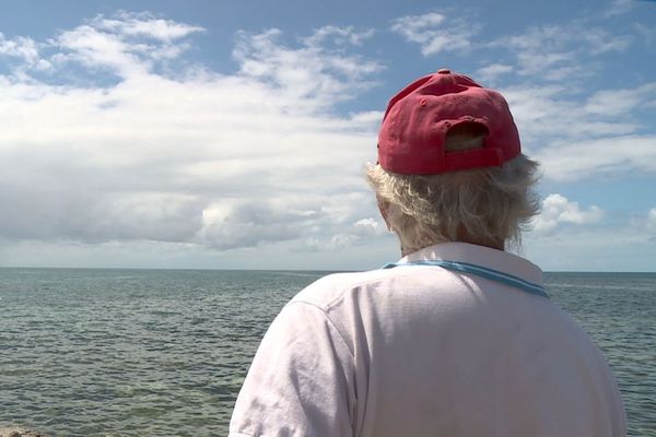 Alerte au requin bouledogue, Côte Blanche