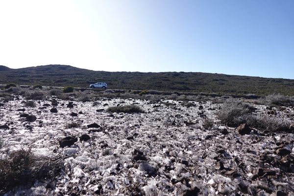 Du givre observé à la Plaine-des-Sables