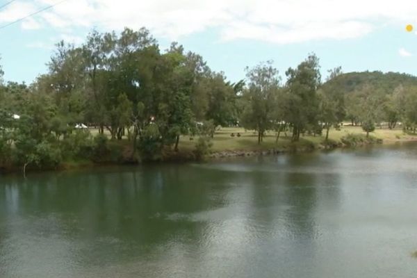 Le parc Fayard vu depuis l'autre rive de la Dumbéa.