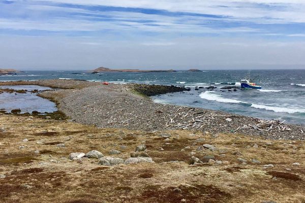 Le Arlene Adonna échoué sur l'île aux Marins 3