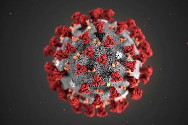 Coronavirus 