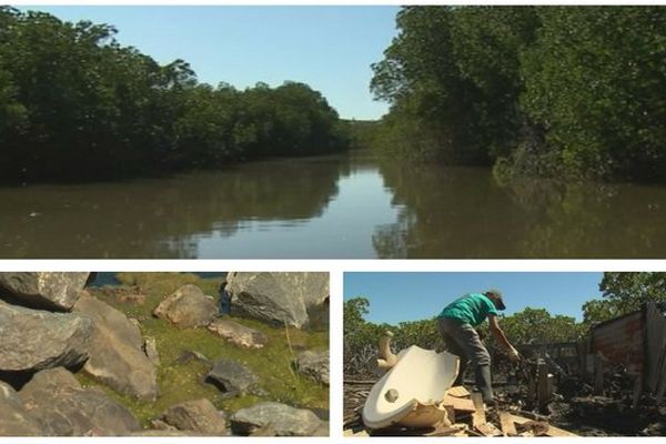 Mangrove polluée à paita