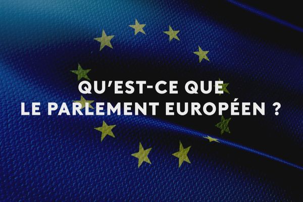 Elections européennes 2024 : Le Parlement européen