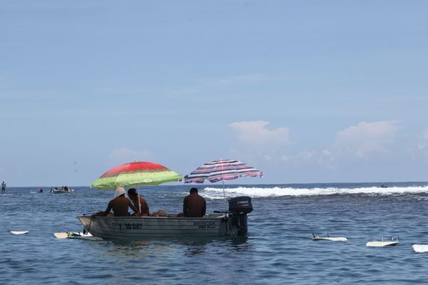 Hui ma'ohi reef horue open 