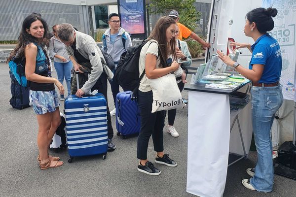 Accueil des coureurs du Grand Raid à l'aéroport de Gillot