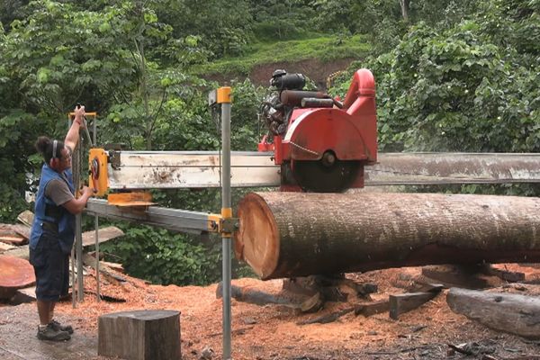 valorisation filière bois