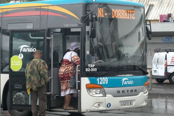 Un bus du réseau Tanéo à Nouméa, le 10 février 2025.