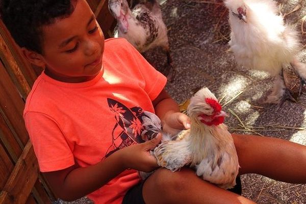 Une ferme pédagogique au cœur de La Possession