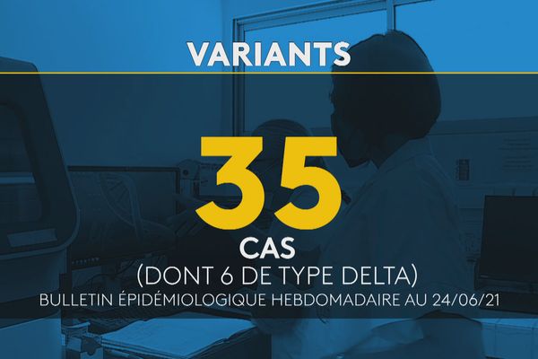 Covid-19 : 35 cas de variant en Polynésie, dont 6 pour le Delta