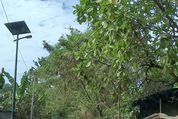 éclairage aux panneaux solaires aux Badamiers - Dzaoudzi Labattoir