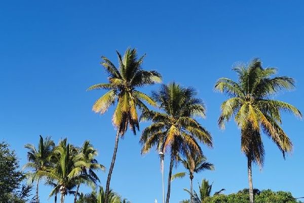 Ciel bleu sur la Saline 19 août 2020