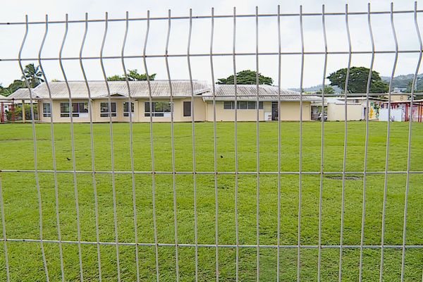 Hier, les enfants déjeunant à la cantine de l'école n'ont pas pu manger leurs plats après avoir découvert des larves de mites.