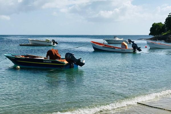 Des bateaux de pêche amarrés sur le rivage du bourg de Sainte-Luce en Martinique (illustration).