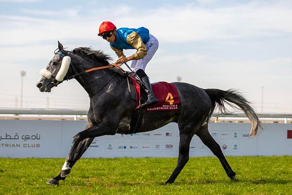 Le jockey martiniquais réalise de grosses performances au Qatar