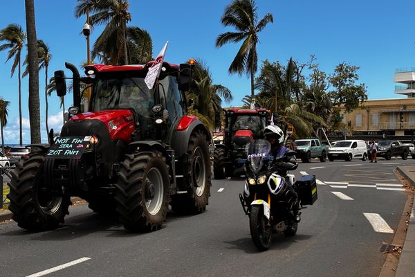 Deuxième journée de mobilisation des agriculteurs à La Réunion, ce mardi 30 janvier.