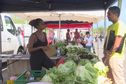 Saint-Gilles : première édition d'un marché de fruits et légumes bio et local ce samedi