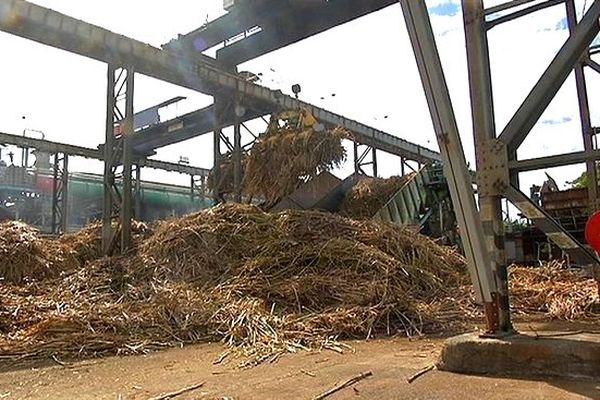 Campagne sucrière : usine de Bois-Rouge en activité