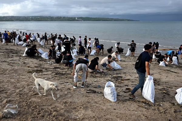 Des centaines de bénévoles participent à un grand nettoyage de plages à Bali, le 4 janvier 2025.