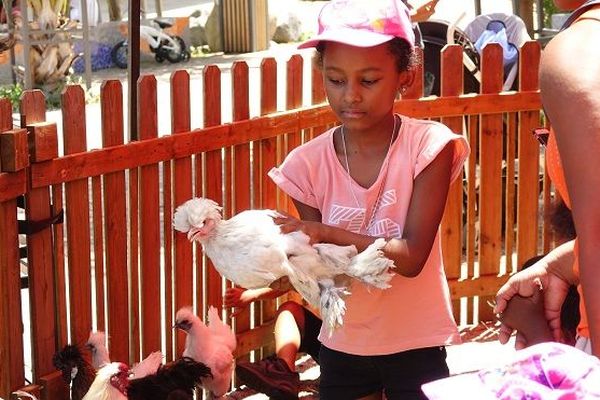 Une ferme pédagogique au cœur de La Possession