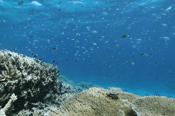 Le lagon de Mayotte