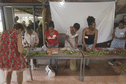 Les propriétés des plantes médicinales explorées à travers des ateliers en Martinique